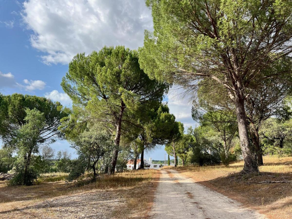 Fazenda Do Pomar By Trip2Portugal Villa Montemor-o-Novo Dış mekan fotoğraf